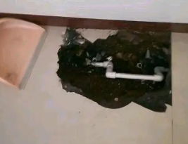 衡水卫生间测漏水多少钱